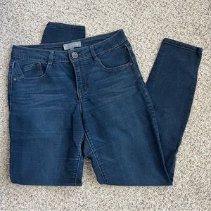 Wit & Wisdom Skinny Jeans